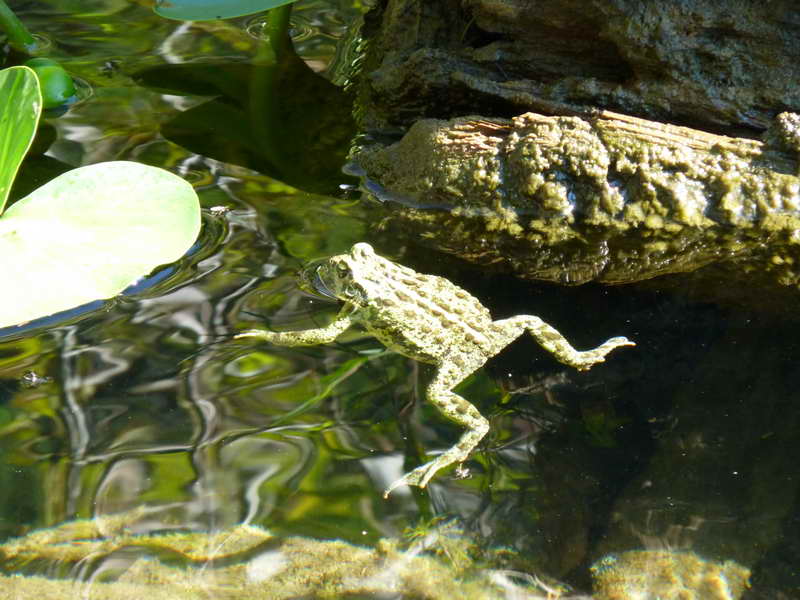 P1000378 resize