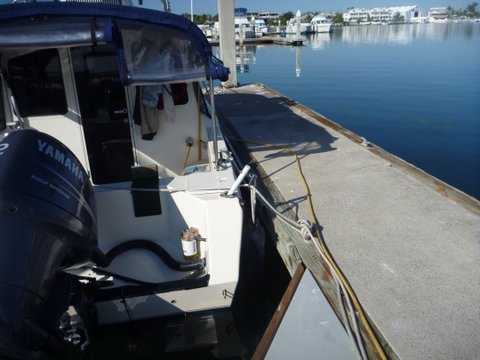 P1010657 (1)