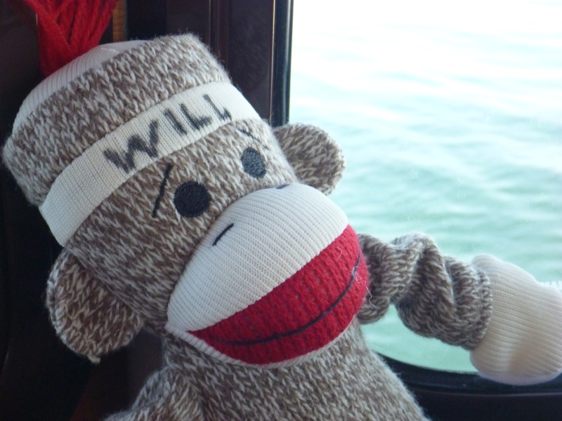 P1020385 Sock monkey left over from our C-Dory