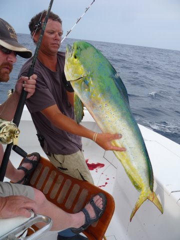 P1030373 My son Nate in the chair, Shane the mate holding a Mahi Mahi fine tasting fish