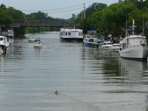 P1180248