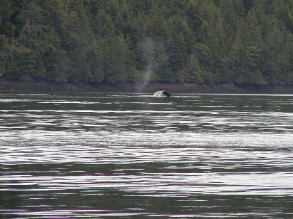 P7160005.JPG