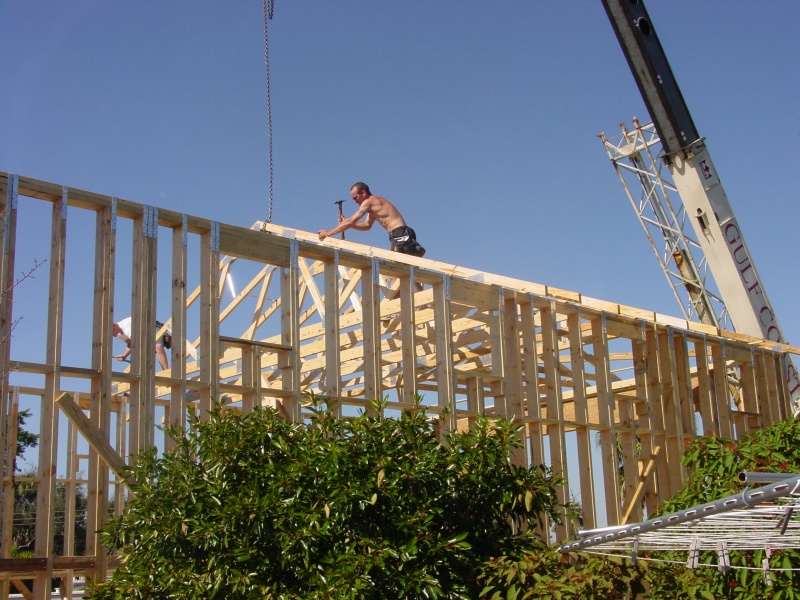 Paid a crew to set the trusses. Worth every dime !!!