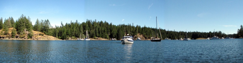 Pan in Squirrell Cove