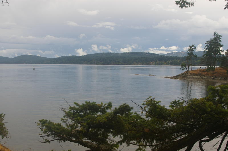 Panther Point