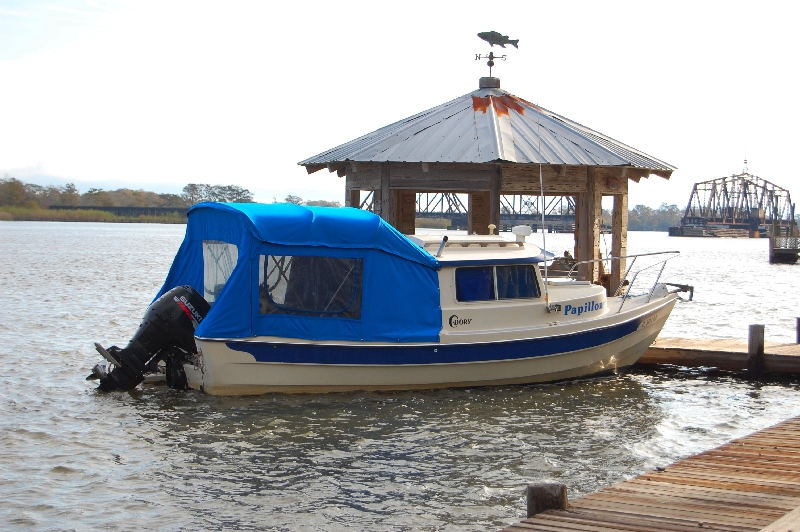 Papillon At Dock