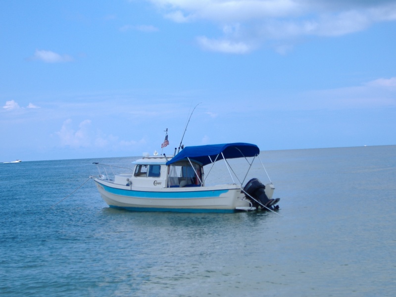 Papillon on the Hook