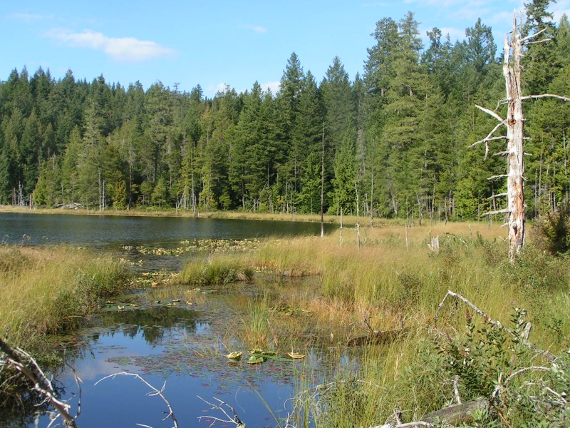 (Pat Anderson) Lake Above Grace Harbour 9-16-05