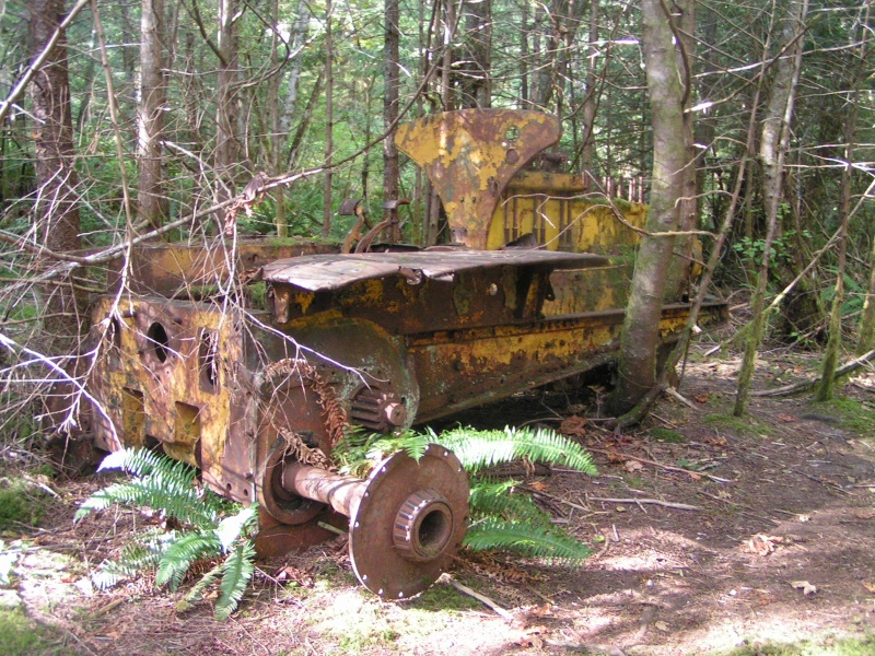 (Pat Anderson) Old Logging Equipment Above Grace Harbour 9-16-05