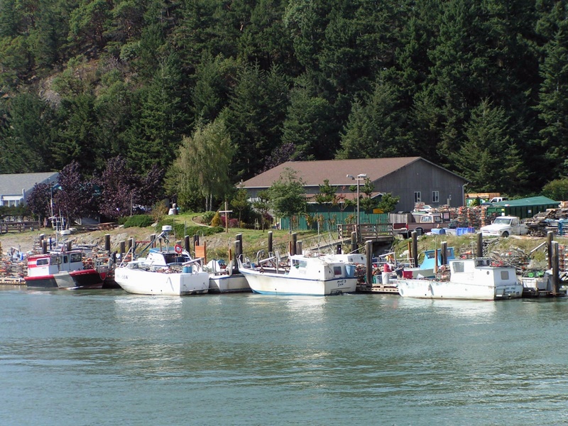 (Pat Anderson) Swinomish Fishing Fleet