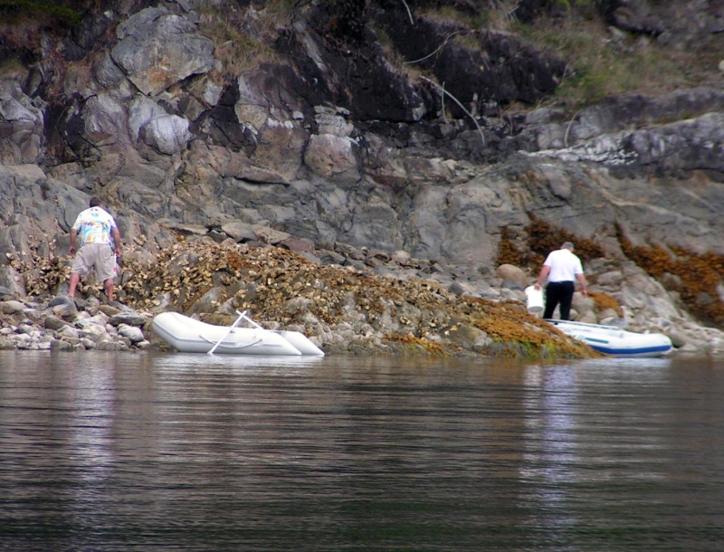 (Pat Anderson) Venturing to Shore at Roscoe Cove for the Stern Ties 9-14-05