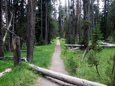 Path to Natural Bridge