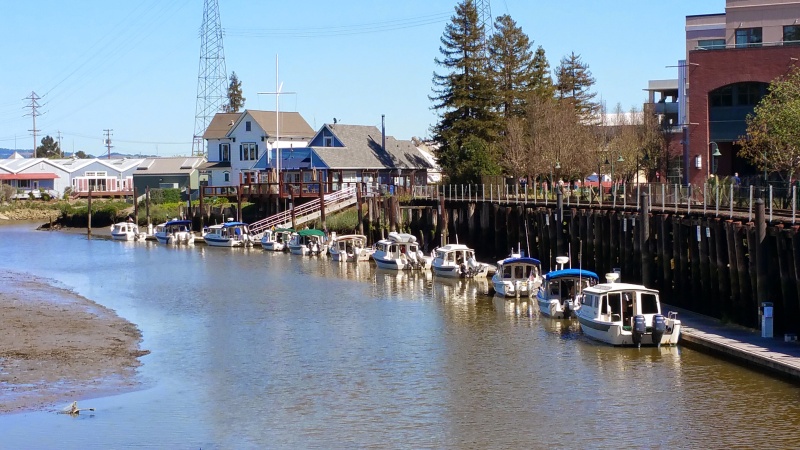 Petaluma Public Docks