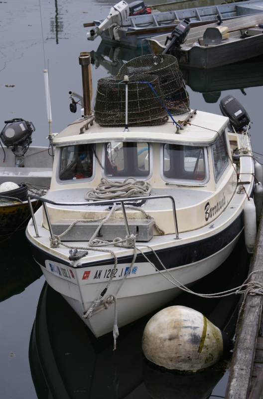 Petersburg C-Dory, "Barracuda." Inside Passage 2011 244
