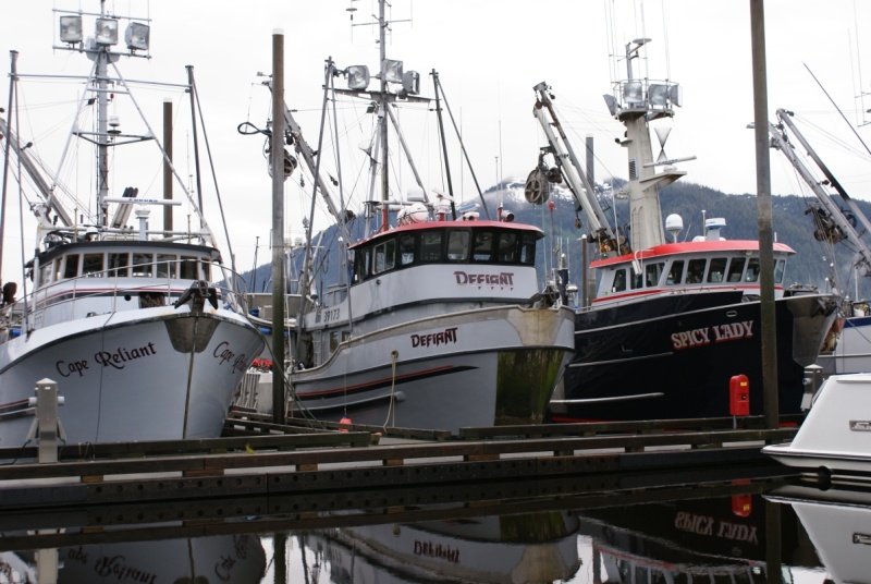 Petersburg Harbor 3