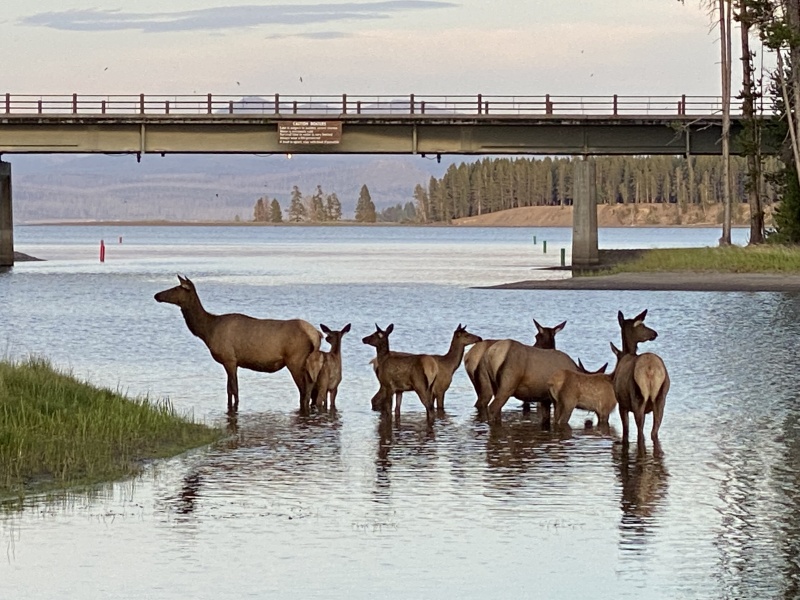 Photo taken from Bridge Bay Marina dock walkway