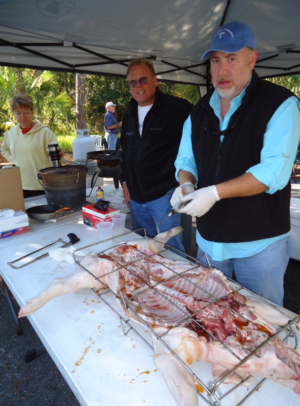 Pig