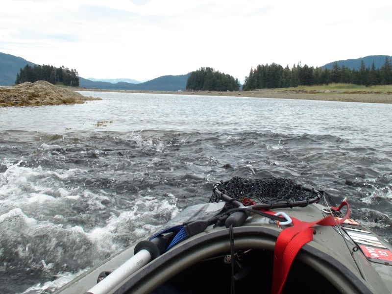 Pleasant Bay fish waves