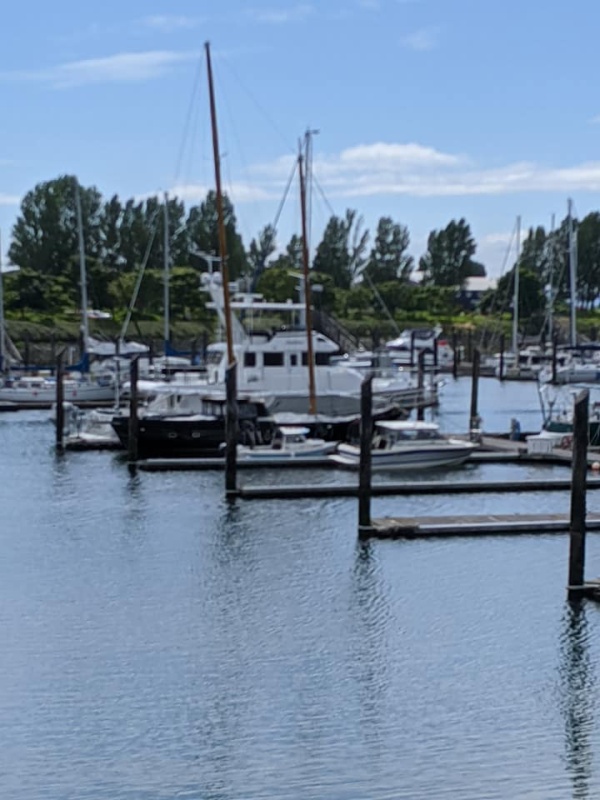 Point Roberts 1