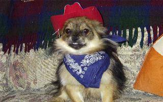Poo Bear
Cow dog as 2nd Mate ???????