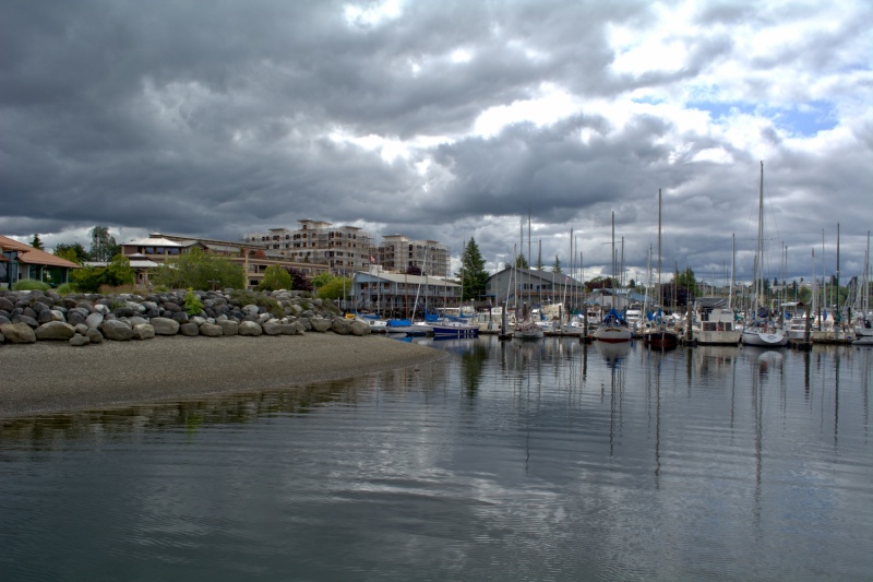 Port Plaza public beach and Fiddlehead Marina