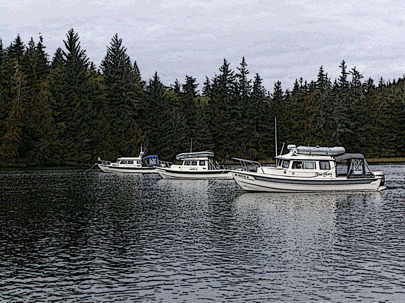 Potts Lagoon.jpg