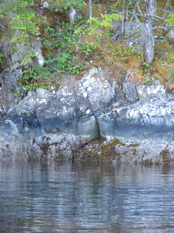 Princess Louisa Inlet, July, 2010 - 053 Shoreline near anchorage in Princess Louisa Inlet