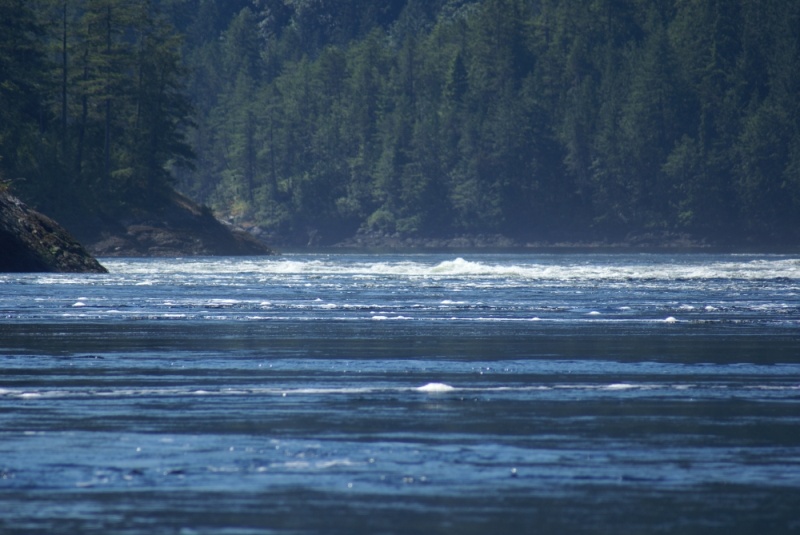 Princess Louisa Trip, 07-10 033 Sechelt Rapids