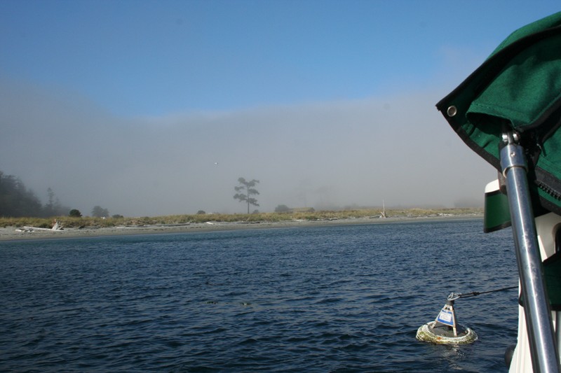 Pt Wilson near Port Townsend. Should I stay or should I go?