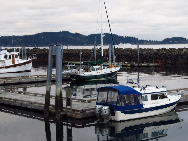 Quiet winter docks as always