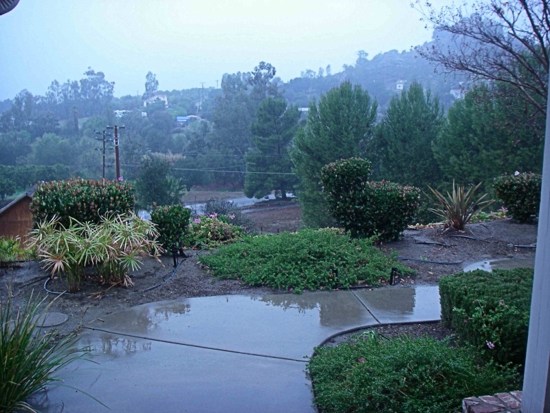 Rain 0
