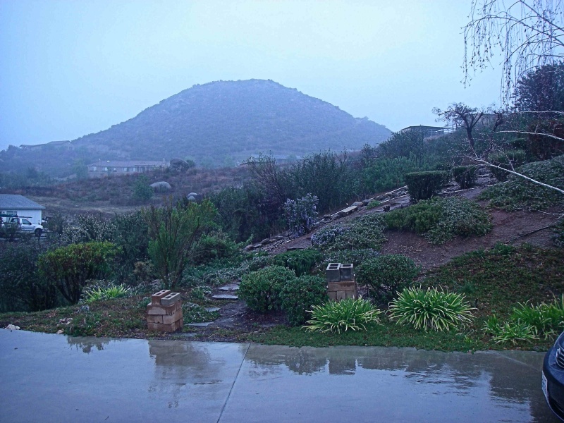 Rain 1