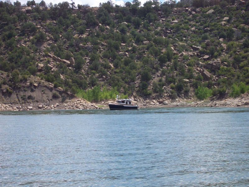 Ranger 29, Spirit of Gratitude at anchor