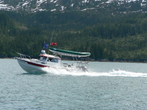 RedFox\'s Sport Hard top in action