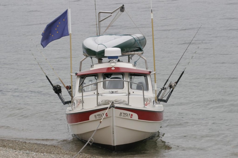RedFoxDownriggers