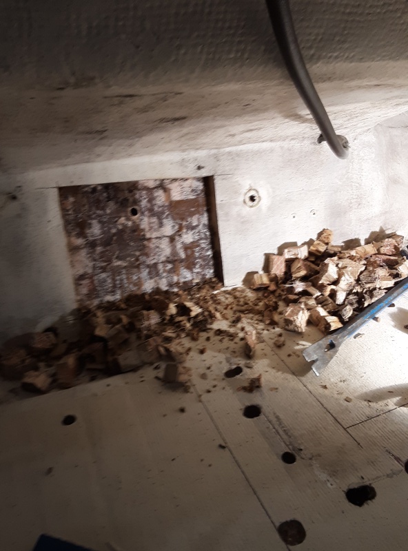 removing rotten core
