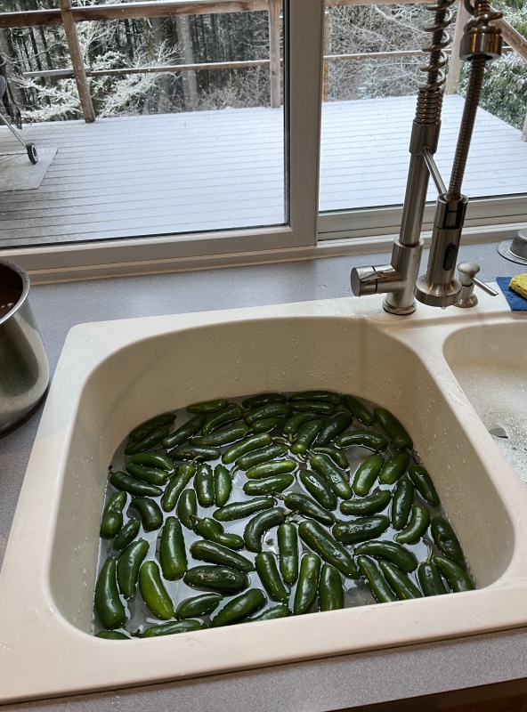 Rene fighting low temperatures with jalape?os