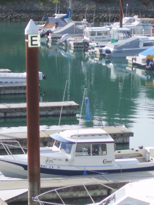 Roadtrip to Brookings finds C-Dory population