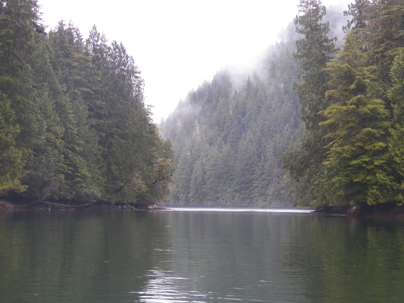 Roaringhole Rapids North of Watson Island.  It was so narrow that I wasn't sure that I could turn around quick enough to avoid the current flooding in to Nepah Lagoon.  We went exploring in Mackenzie Sound and waited for slack.  Here is a video: https://www.youtube.com/watch?v=aVxlfczH72w