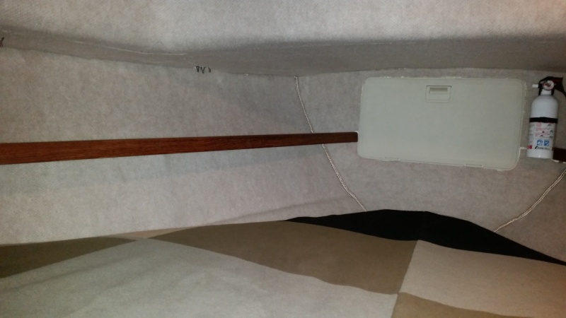 Robbin carpeted the V berth