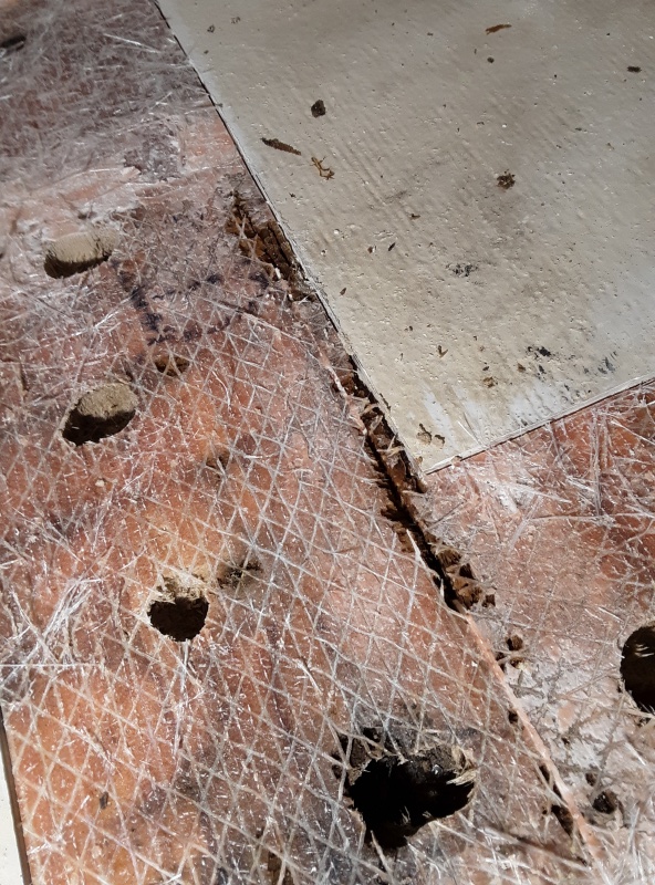rotten core from the gas tank screws