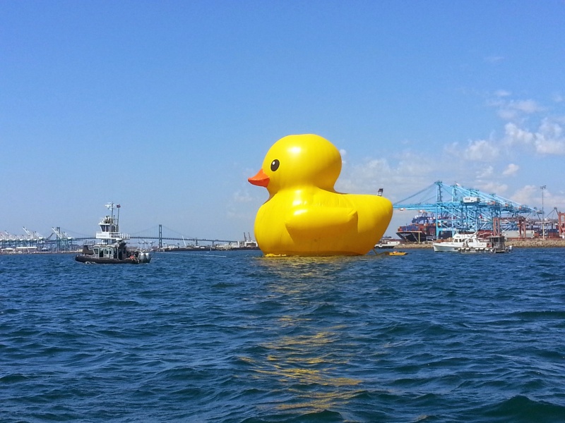 Rubber Ducky!