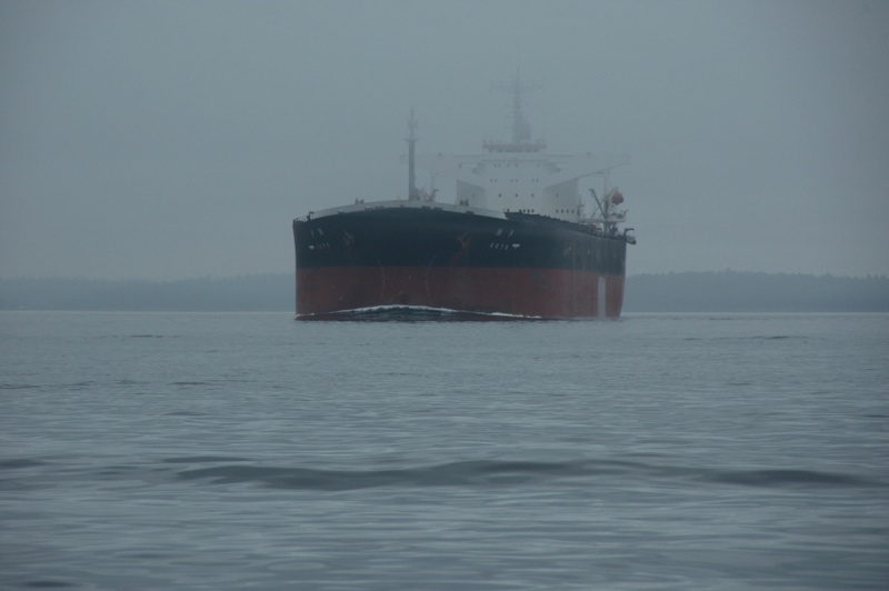 Run fron Reid Harbor to Pender Island - Where did THAT come from...