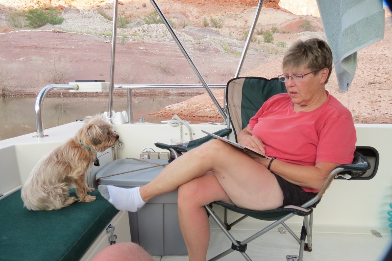 Rusty and Dixie check the ipad