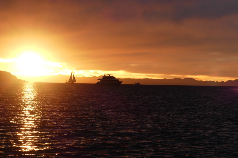 Sailors sunset sail.