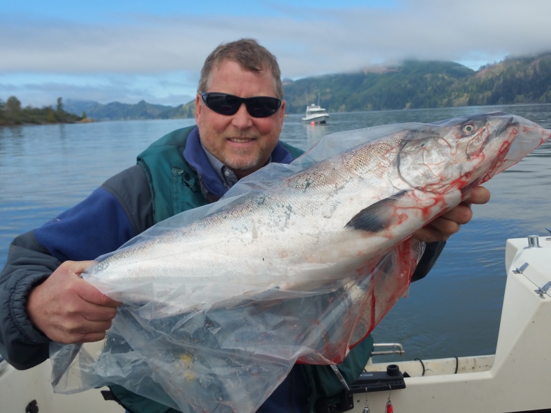 Salmon Tokeland
One of many