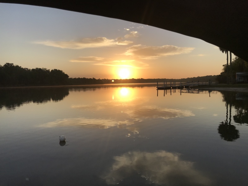 Salt Springs Sunrise