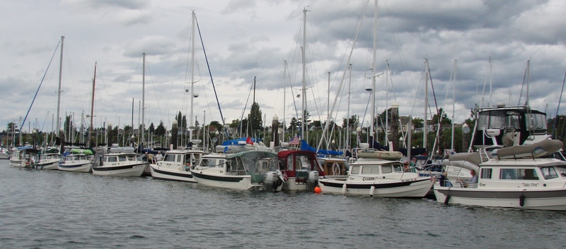 Saturday Afternoon - P Dock