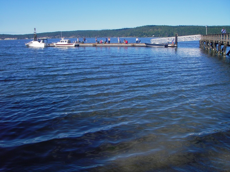 SBSP dock at near high tide.  Frequent weekend visitors.