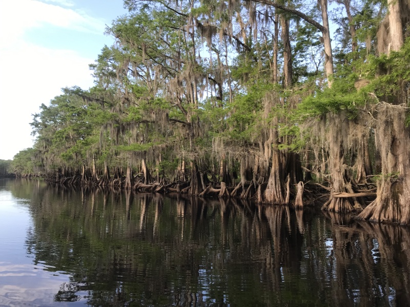 Scenery along Deep Creek